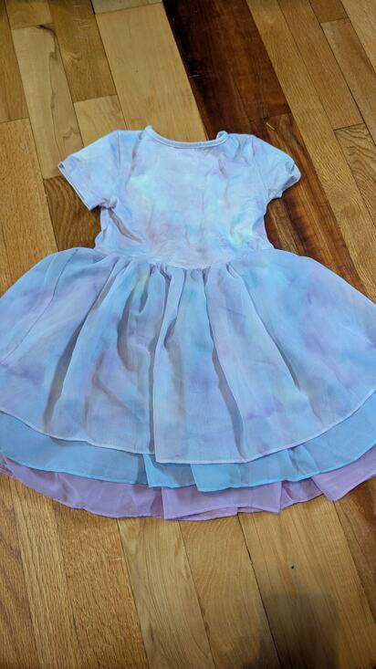 Taylor Joelle Other - Sisu (Raya and the Last Dragon) Taylor Joelle Tutu Dress 6